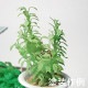 �ꥢ�륰�꡼��F����Ultrareal24����ʪɽ��3D̤�������åȡ�1/24��1006