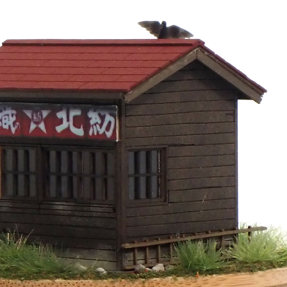 ��ë�������������ؼˡ�������ϲ̡Ʋ�������Ѵ����ʡ�1/80��������