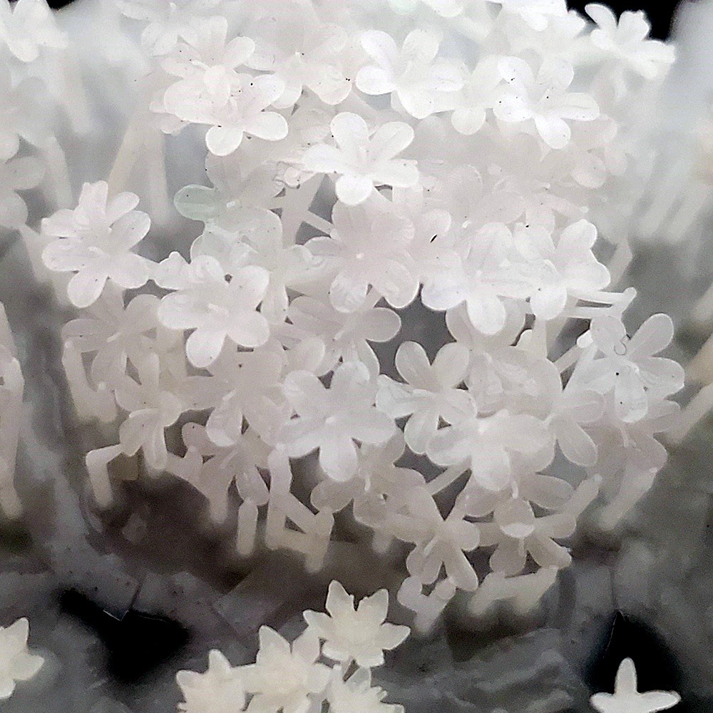 �ե��������ȥ���1����Ultrareal24����ʪɽ��3D̤�������åȡ��ե������ס�1/24��1028