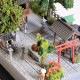 �����ο������ʡ����������顡�����Ѵ����ʡ�1/80�������롡���9��
