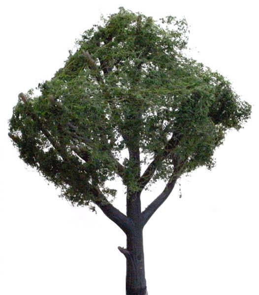 ռ7.610.1cm3ܡåɥɡʡΥ󥹥롡3508