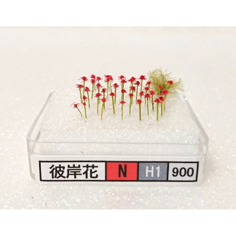 ひさc花 1_000000011431.jpg?1678209907