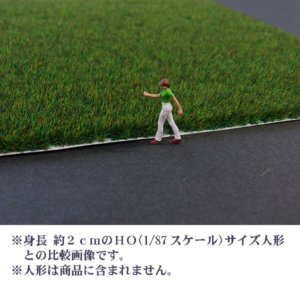 �ڼ����ե����� �Ƥ����顡���֥å��塡�ǺࡡHO(1/87)��1303
