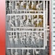 �ӥ������ǥ�ο͡� 47�Ρ����ץ饤������̤�������åȡ�HO(1/87)��16356