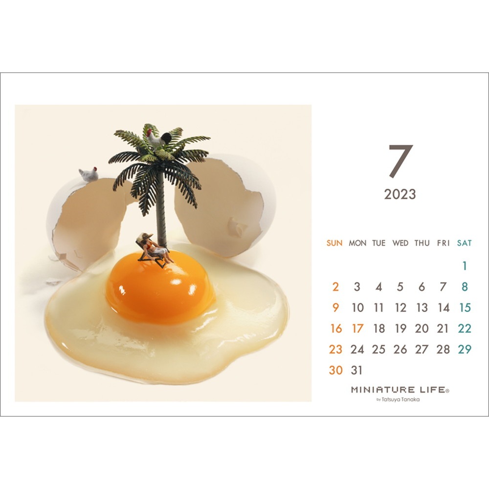 奫MINIATURE LIFE CALENDAR 2023.4-2024.3ߥ˥奢饤ա4900459553408