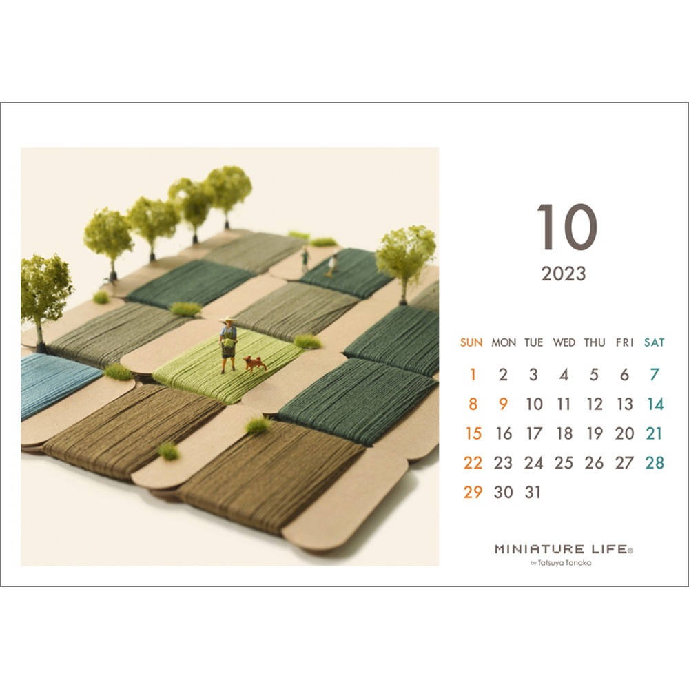 奫MINIATURE LIFE CALENDAR 2023.4-2024.3ߥ˥奢饤ա4900459553408