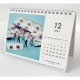 奫MINIATURE LIFE CALENDAR 2023.4-2024.3ߥ˥奢饤ա4900459553408