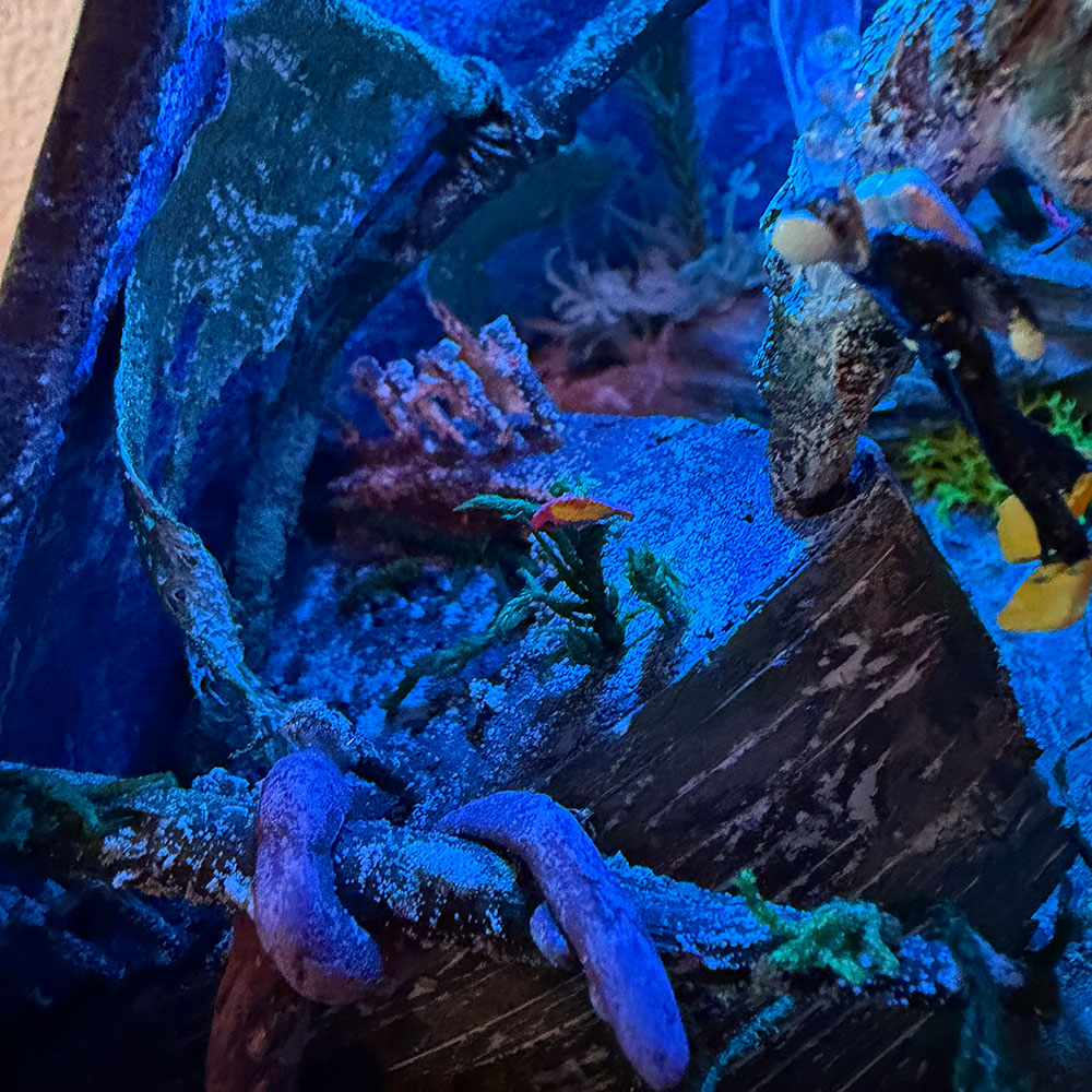 ������ޤҤ礦���󡡳���õ�������Ҥ礦���󤹤ߤ������������Ѵ����ʡ��Υ󥹥�����