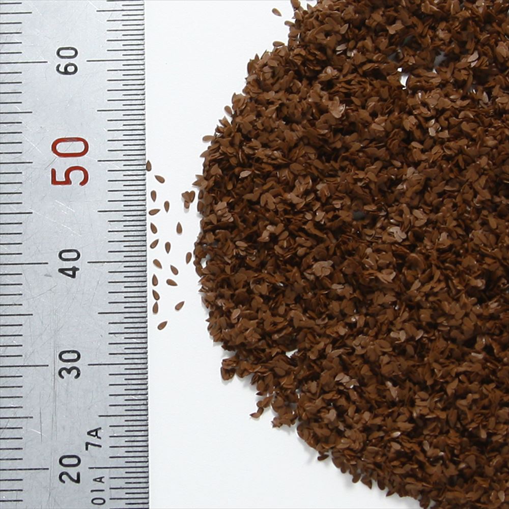 RML01U���ꥢ��ߥ˥��奢�����Ϸ����աʥ����Υ������ס��㡡���ӡ������ǥ������Ǻࡡ�Υ󥹥�����