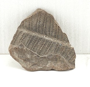 й(CASTING PLASTER)åɥɡǺࡡΥ󥹥롡SP4141