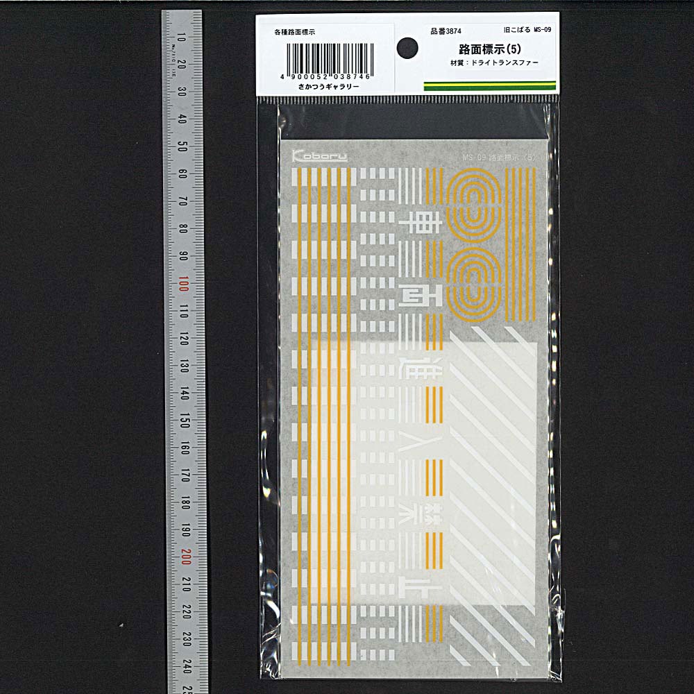 ���Ϸ��ۡ�ϩ��ɸ����5�ˡ������Ф�Ʊ���ʡ��������Ĥ��������롦���ƥå�����N(1/150)��3874