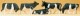 ����5Ƭ�����ץ饤�����������Ѵ����ʡ�HO(1/87)��14155