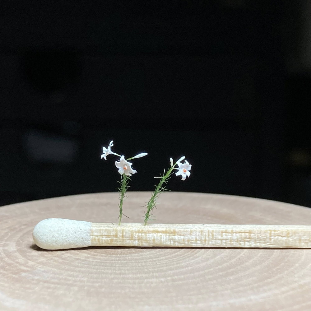 ����Ŵƻ�����֤��줿����֡���Art Stage K�������Ѵ����ʡ�1/87�������롡HO�ʥ���������