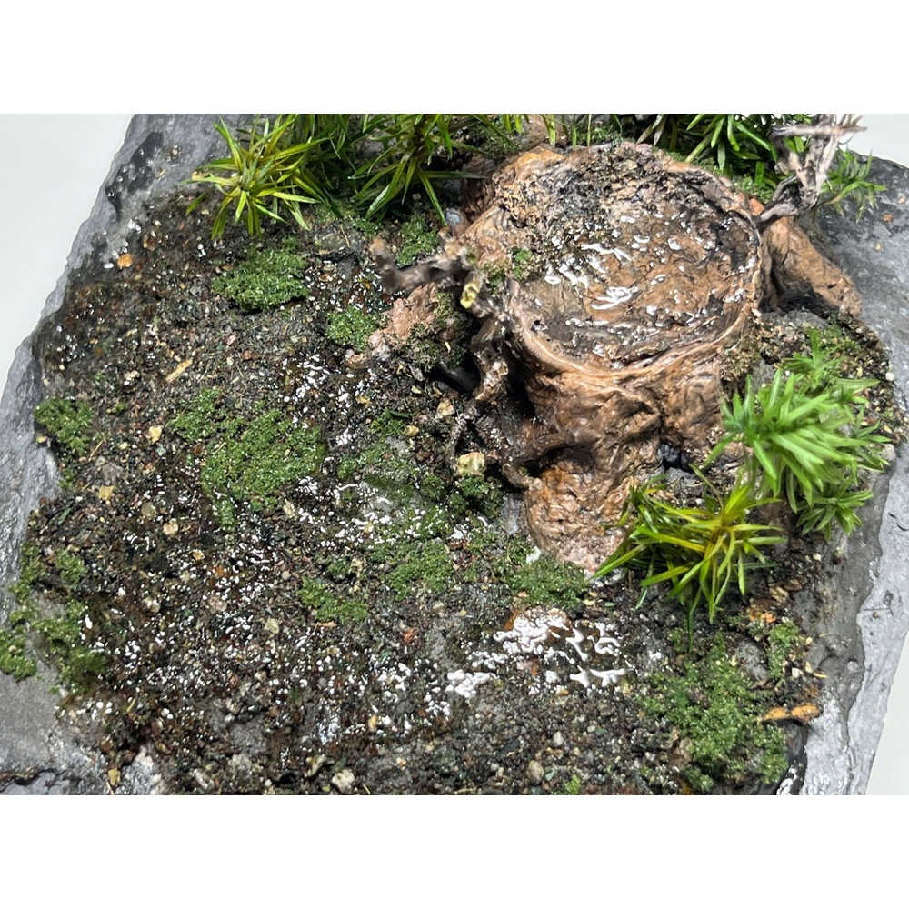 DO-1011 åȡޥ󡡥åȡΥ󥹥