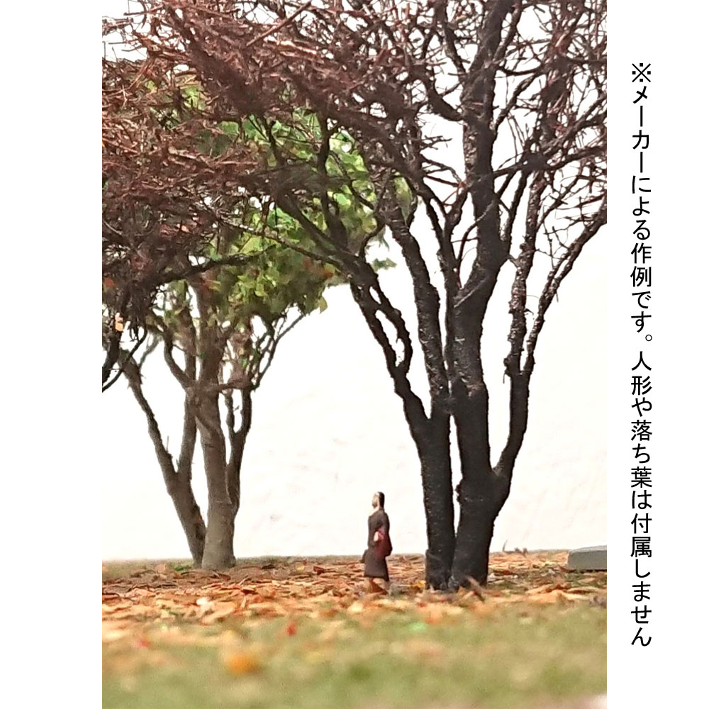 B3դ9cm1ꡡBUNKOʡΥ󥹥롡KB3