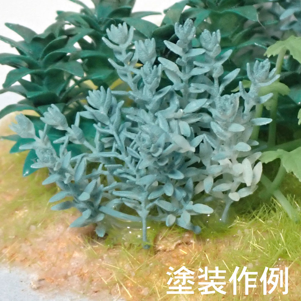 ꡼󥢥ȥ1Ultrareal24ʪɽ3D̤åȡ1/241027