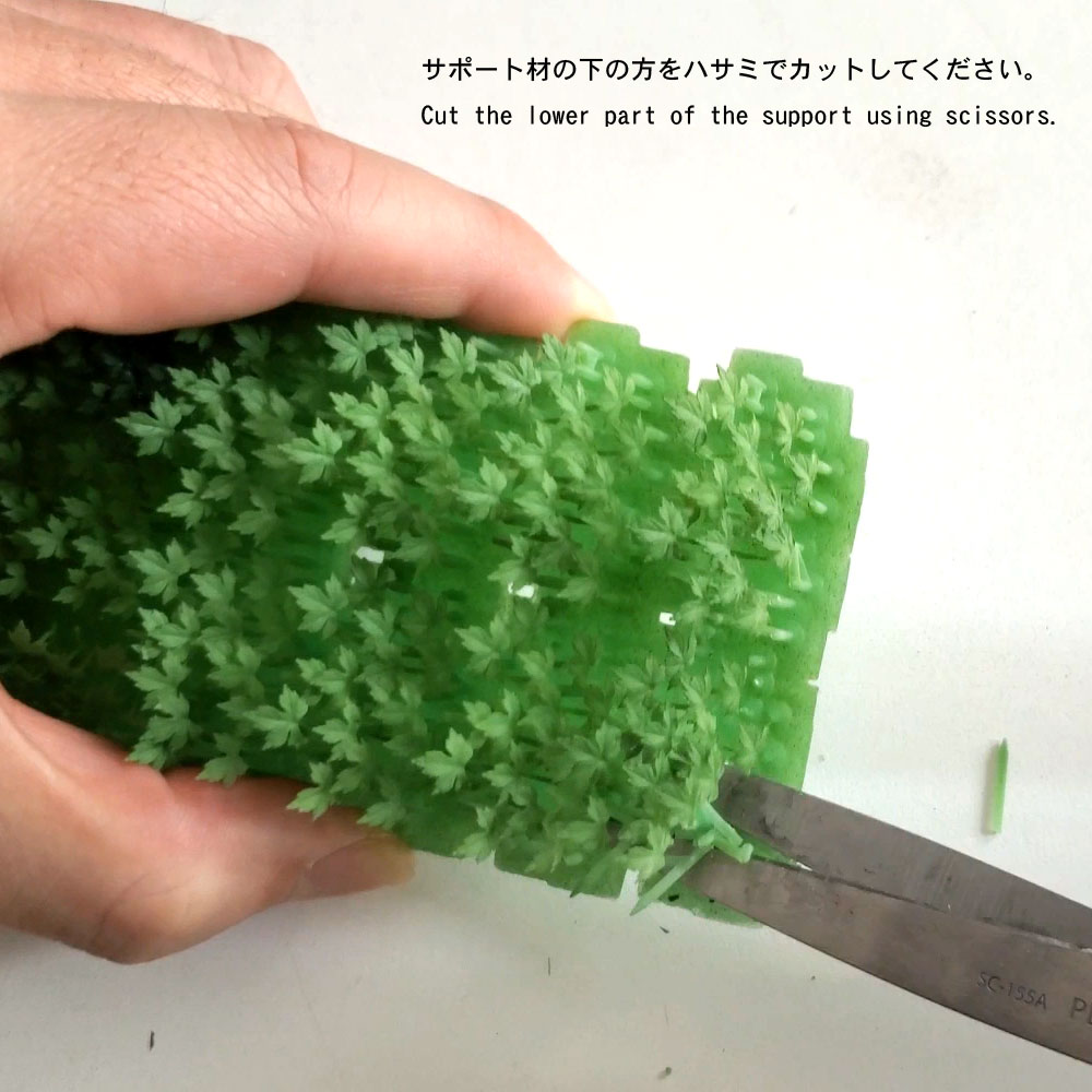 ꡼󥢥ȥ1Ultrareal24ʪɽ3D̤åȡ1/241027