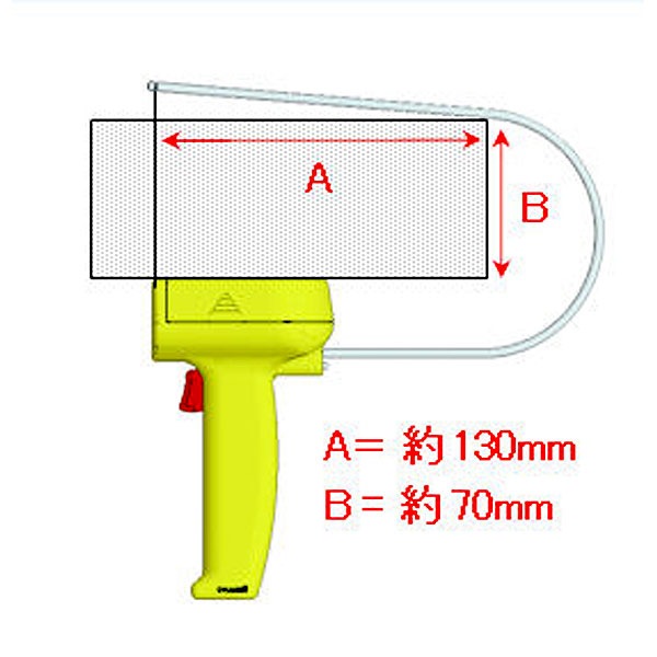 Ӽ륫å ñ2ӡ2ܡˡϥå251-01
