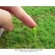 �ޥåȥ�����(����) ����6mm �齩�����ޡ��ƥ��󥦥���С��� �Υ󥹥����� WB-M027