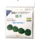 ���ڡ���YSK��̤�������åȡ�HO(1/80)������491