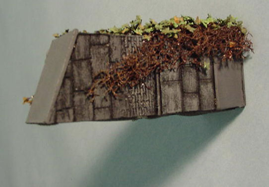 �ĥ����ա������硼�ե��������Ǻࡡ1/35��101
