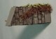 �ĥ����ա������硼�ե��������Ǻࡡ1/35��101