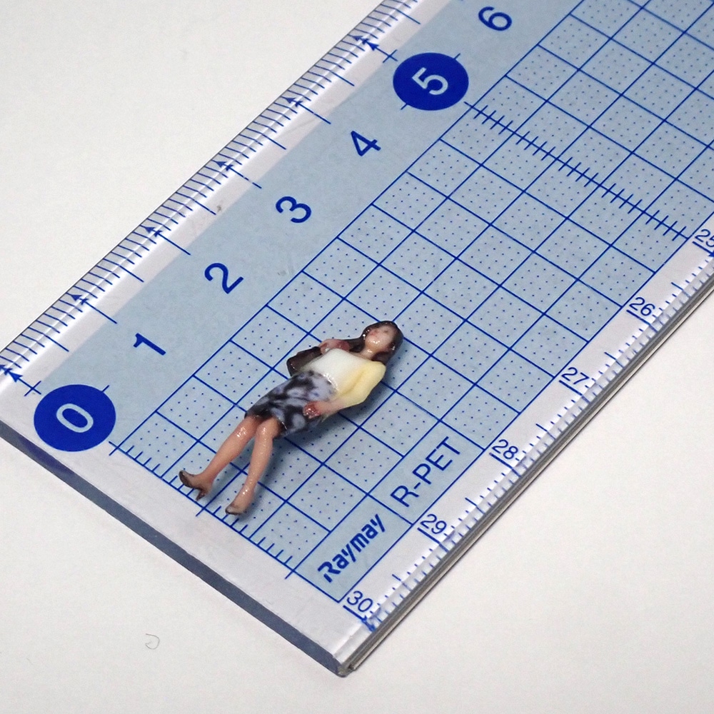 064-00006���פΥ��������Хå��򸪤ˤ����Ƴ����⤯�������������ˡ��ƥ��륺���忧�Ѥߴ����ʡ�1/64