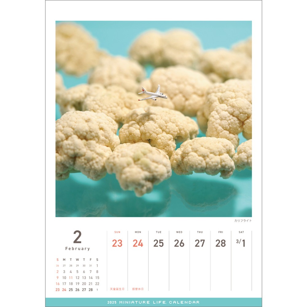 MINIATURE LIFE CALENDAR 2025 (ܹǡܤνꡦܸ̾ˡߥ˥奢饤