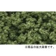 ���ݥ󥸷��Ǻ� �ڥ����ץե�����å��ۡ��饤�ȡ����꡼������п��ˡ������åɥ��ɡ��Ǻࡡ�Υ󥹥����롡FC682