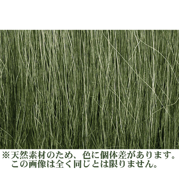 ݷǺ ڥեɥ饹ۡ饤ȡ꡼пˡåɥɡǺࡡΥ󥹥롡FG173