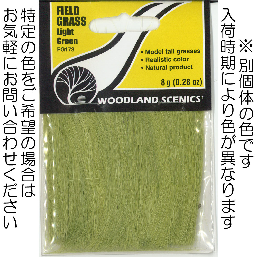 ݷǺ ڥեɥ饹ۡ饤ȡ꡼пˡåɥɡǺࡡΥ󥹥롡FG173