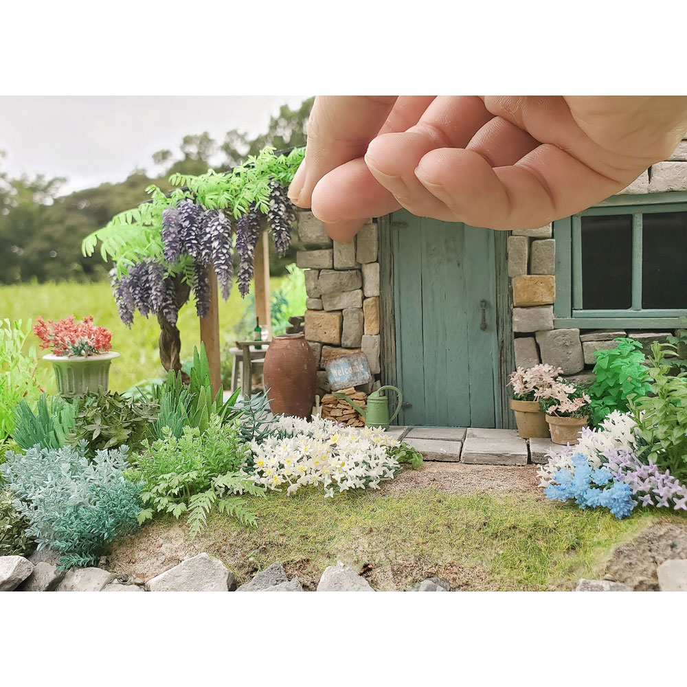 English Gardenʥ󥰥å奬ǥˡƣʿơѴʡ1/24