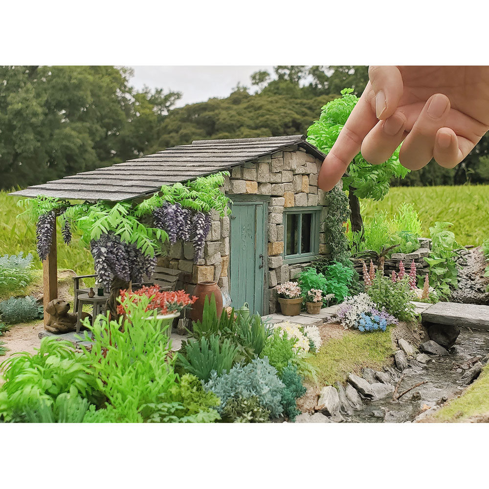 English Gardenʥ󥰥å奬ǥˡƣʿơѴʡ1/24