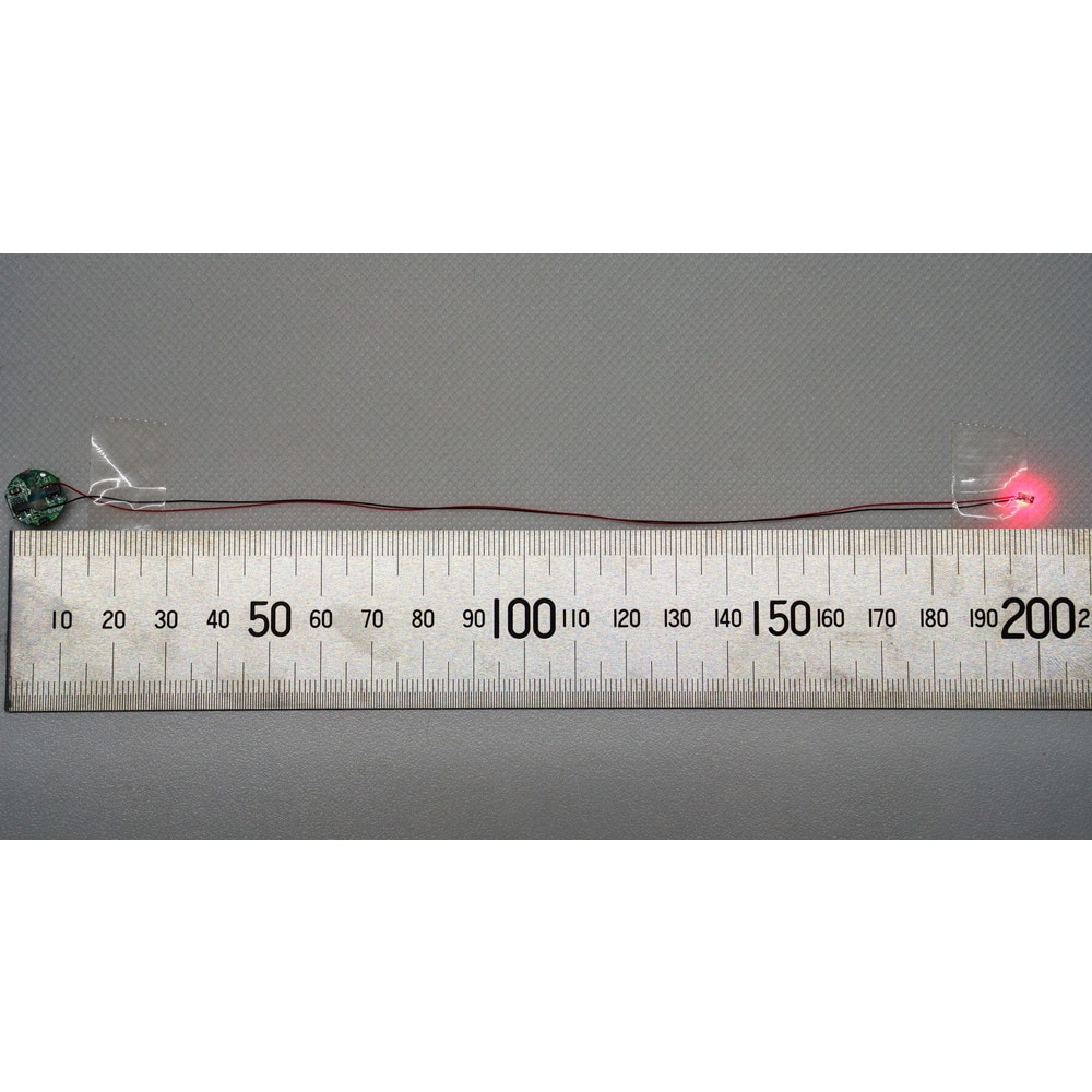 ���������å���LED�⥸�塼��꡼�����դ�3���åȡ��ۥ磻�ȡ������ӥåȥȥ졼�ɥ���Żҥѡ��ġ��Υ󥹥����롡ADMGLWWH3