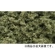���ݥ󥸷��Ǻ� �ڥ����ץե�����å��ۡ��С���ȡ����饹���𿧡� �Υ顼���Хå��ϡ������åɥ��ɡ��Ǻࡡ�Υ󥹥����롡FC181