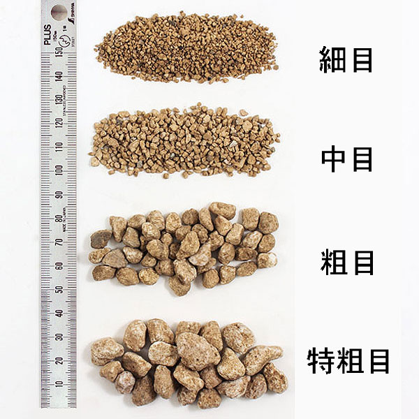 �з��Ǻࡡ�ơ��饹 �����ܡ˥֥饦�󡡡����åɥ��ɡ��Ǻࡡ�Υ󥹥����롡C1275