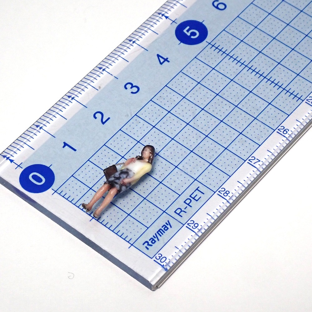 080-00005���פΥ��������Хå�����ġ������˵��դ����������������ˡ��ƥ��륺���忧�Ѥߴ����ʡ�HO(1/80)