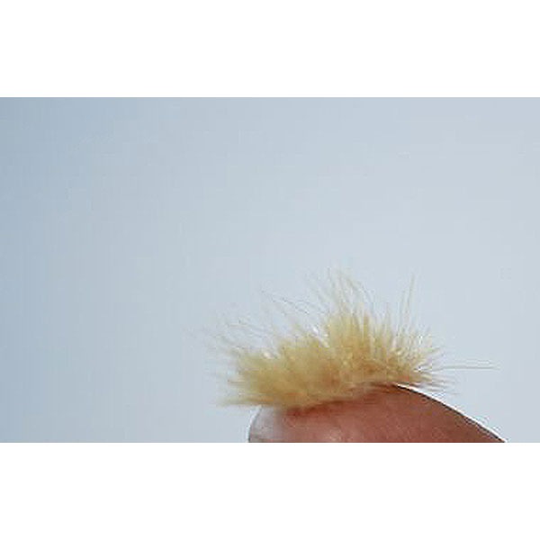 ���«(�Ϥ쿧��12mm�������硼�ե��������Ǻࡡ�Υ󥹥����롡175