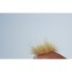 ���«(�Ϥ쿧��12mm�������硼�ե��������Ǻࡡ�Υ󥹥����롡175