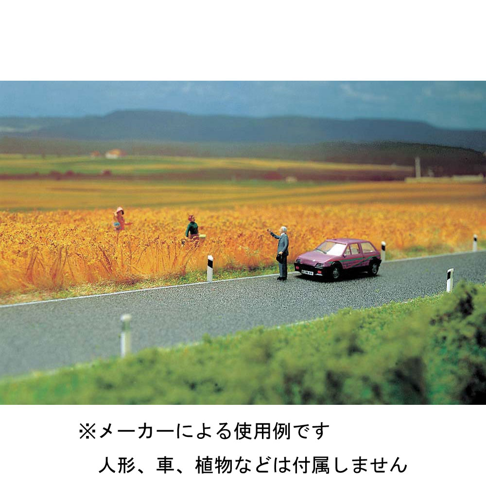 �����ե���ȡʥ��󥿡��饤��̵���ˡ��������륵�������ǺࡡHO(1/87)��1255