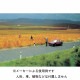 �����ե���ȡʥ��󥿡��饤��̵���ˡ��������륵�������ǺࡡHO(1/87)��1255
