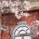 �����ȥե졼�ࡡ�ֽաס��������äĤ��줤�������Ѵ����ʡ��Υ󥹥�����
