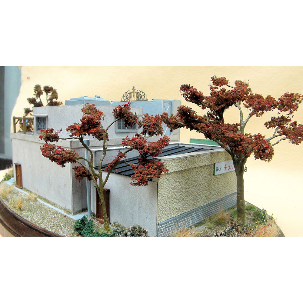 �ѥ��󥳥����������ȡ��£��ҥ����꡼�������¥�ȥ���ʴۡ�������Ƿ�������Ѵ����ʡ�1/80��������