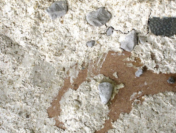 �⡼��ɣ������󡦥ץ饹������γ�������йѡ� �������åɥ��ɡ��Ǻࡡ�Υ󥹥����롡C1202