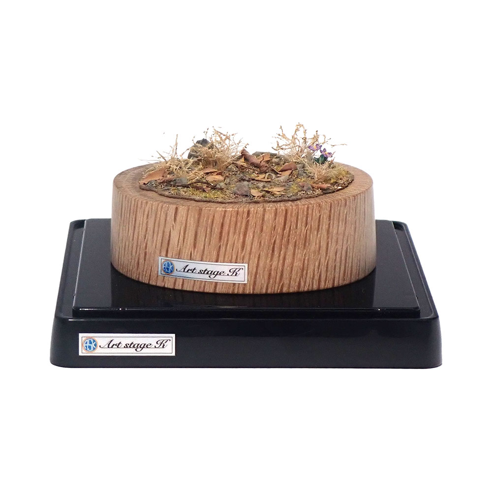 �ץ륿�֤ȥ��ߥ졧Art Stage K �����Ѵ����� �Υ󥹥�����