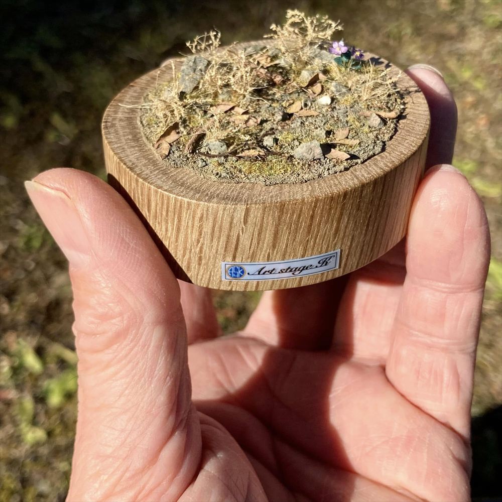 �ץ륿�֤ȥ��ߥ졧Art Stage K �����Ѵ����� �Υ󥹥�����