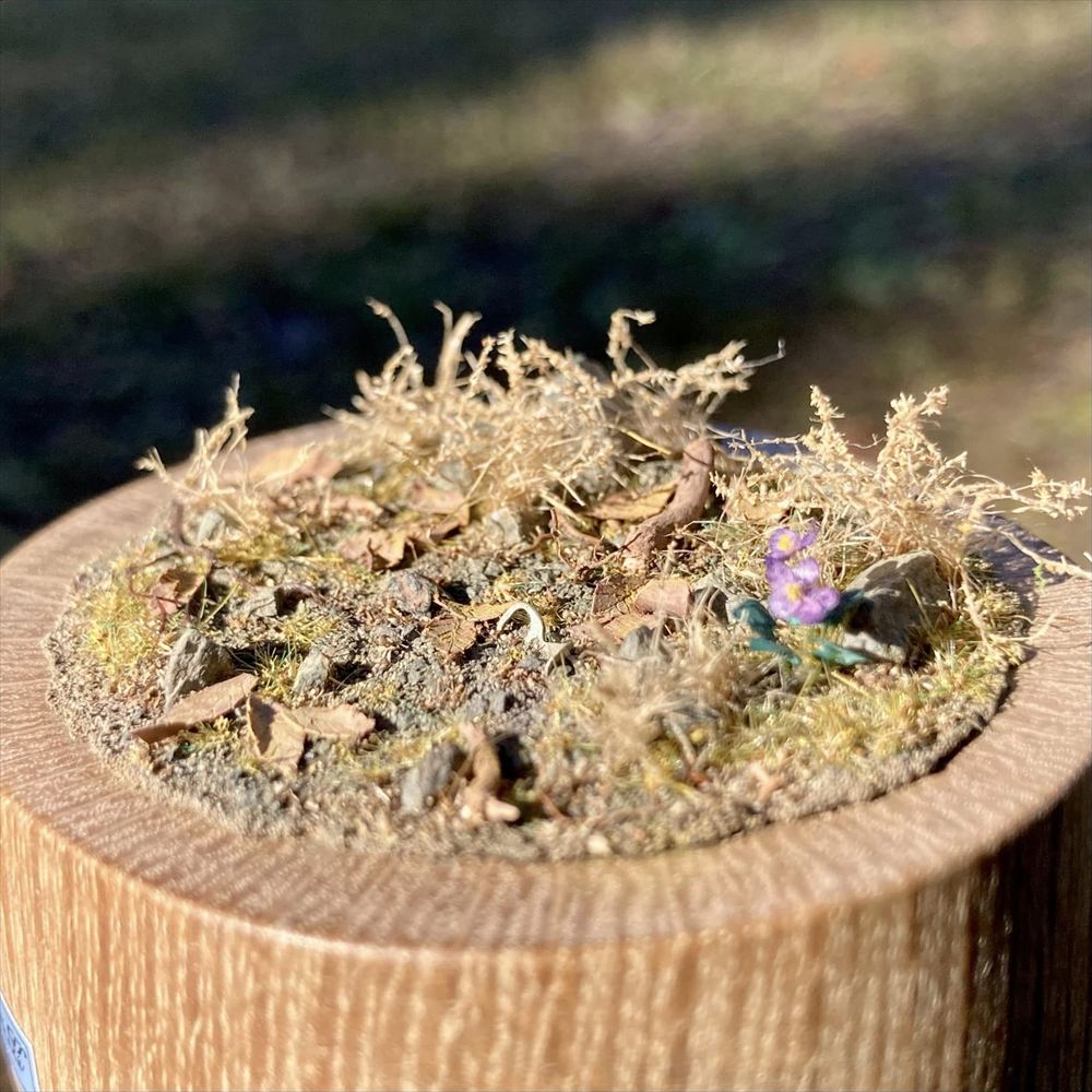 �ץ륿�֤ȥ��ߥ졧Art Stage K �����Ѵ����� �Υ󥹥�����