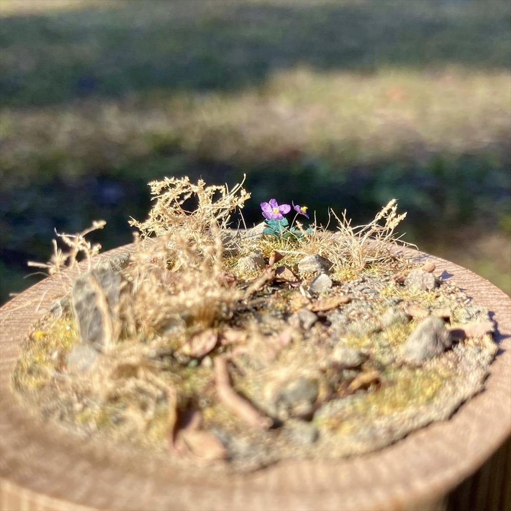 �ץ륿�֤ȥ��ߥ졧Art Stage K �����Ѵ����� �Υ󥹥�����