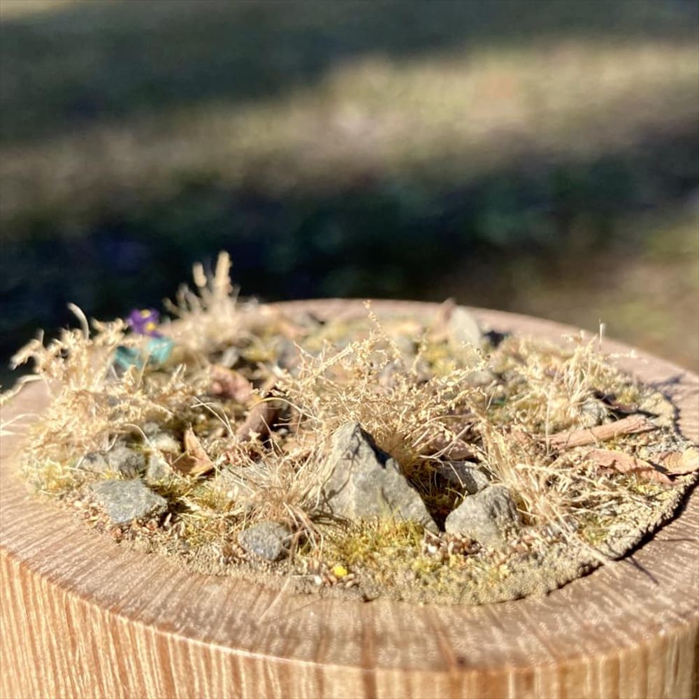 �ץ륿�֤ȥ��ߥ졧Art Stage K �����Ѵ����� �Υ󥹥�����