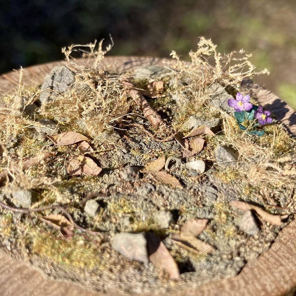 �ץ륿�֤ȥ��ߥ졧Art Stage K �����Ѵ����� �Υ󥹥�����